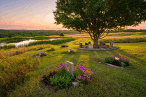 Eco-Friendly Death Care Services See Significant Expansion