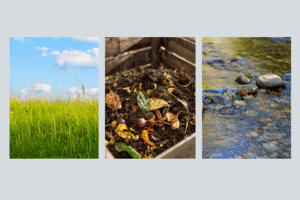 How Direct Burial Compares to Eco-Friendly Death Care Options