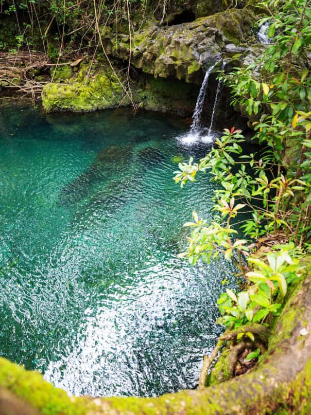 Hawaii Residents Advocate For Making Water Cremation Services Available
