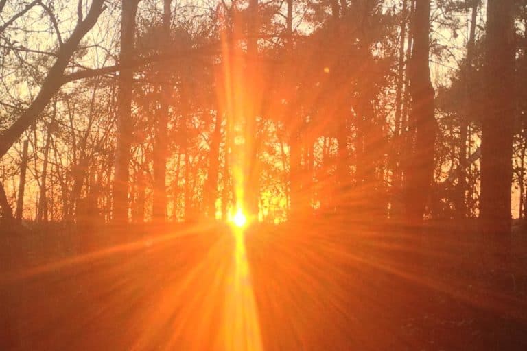 Friendswood Texas cremation services