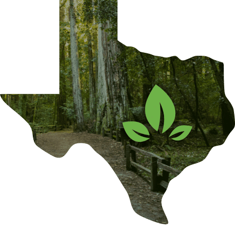 Cremation.Green | Funeral Home & Cremation Austin Cremation.Green | Funeral Home & Cremation Austin