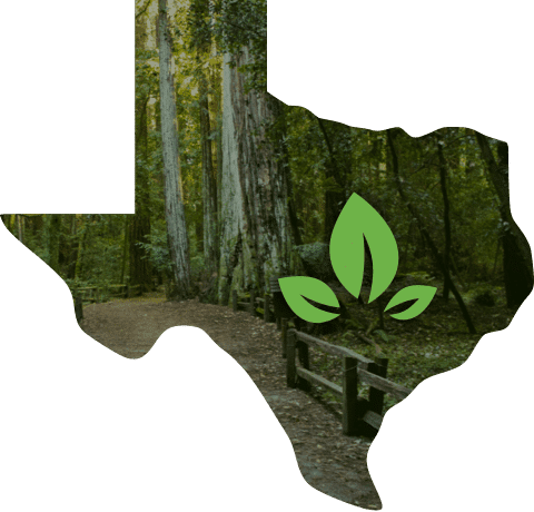 Green Cremation Texas