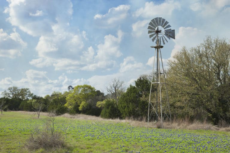 An old windmill in a field of blue bonnets, located in Spring, TX