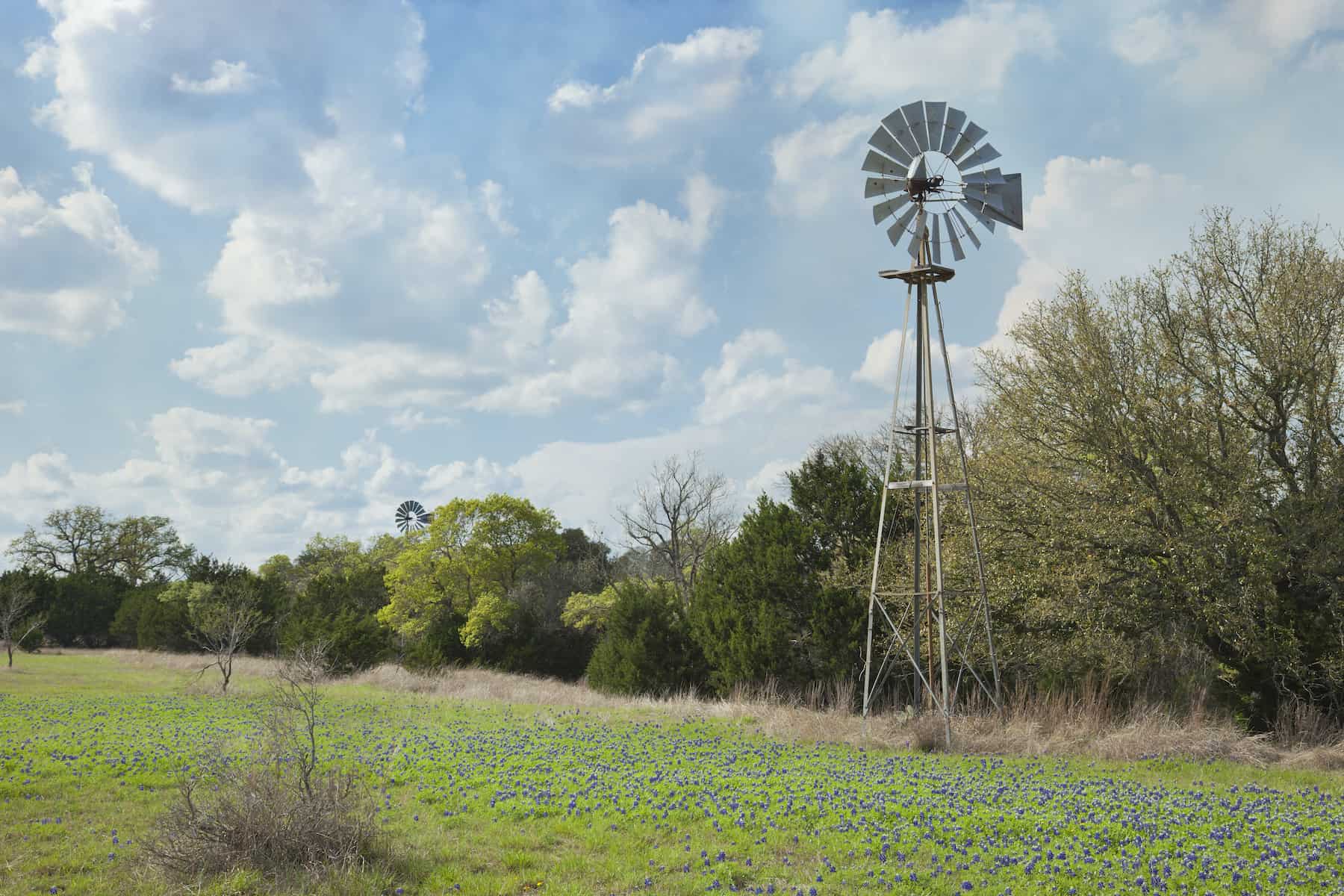 Direct Cremation In Spring TX Green Cremation Texas Direct cremation in spring tx green cremation texas