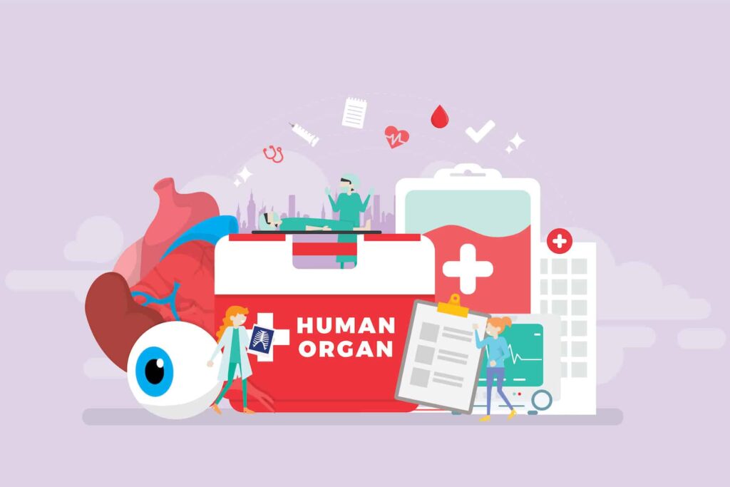 How Donating Organs Affects Cremation